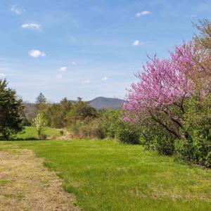 Photo #14 of 14506 TRAVIS LN, FULKS RUN, VA 1.0 acres