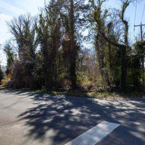 Photo #17 of Lot 1 PRESTON AVE, CHARLOTTESVILLE, VA 0.7 acres