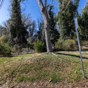 Photo #16 of Lot 1 PRESTON AVE, CHARLOTTESVILLE, VA 0.7 acres