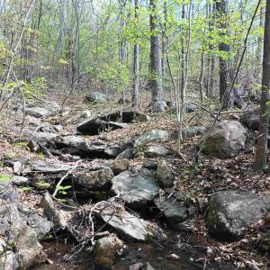 Photo #28 of ROCKFISH HEIGHTS LN, NELLYSFORD, VA 4.7 acres