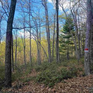 Photo #3 of ROCKFISH HEIGHTS LN, NELLYSFORD, VA 4.7 acres