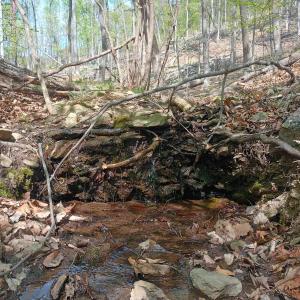 Photo #14 of ROCKFISH HEIGHTS LN, NELLYSFORD, VA 4.7 acres