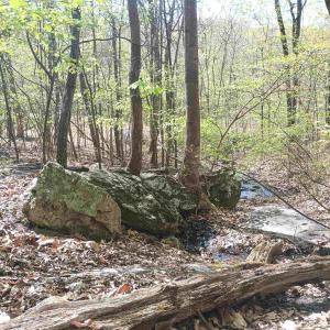 Photo #21 of ROCKFISH HEIGHTS LN, NELLYSFORD, VA 4.7 acres