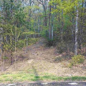 Photo #2 of ROCKFISH HEIGHTS LN, NELLYSFORD, VA 4.7 acres
