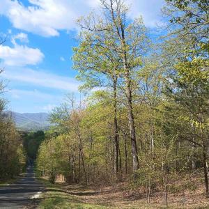 Photo #1 of ROCKFISH HEIGHTS LN, NELLYSFORD, VA 4.7 acres