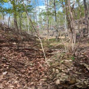 Photo #15 of ROCKFISH HEIGHTS LN, NELLYSFORD, VA 4.7 acres