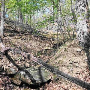 Photo #13 of ROCKFISH HEIGHTS LN, NELLYSFORD, VA 4.7 acres