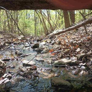 Photo #17 of ROCKFISH HEIGHTS LN, NELLYSFORD, VA 4.7 acres