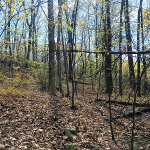 Photo #11 of ROCKFISH HEIGHTS LN, NELLYSFORD, VA 4.7 acres