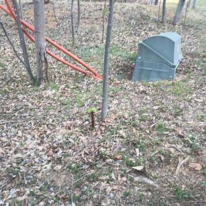 Photo #32 of ROCKFISH HEIGHTS LN, NELLYSFORD, VA 4.7 acres