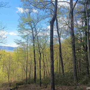 Photo #4 of ROCKFISH HEIGHTS LN, NELLYSFORD, VA 4.7 acres