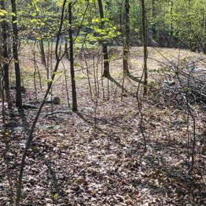 Photo #24 of ROCKFISH HEIGHTS LN, NELLYSFORD, VA 4.7 acres