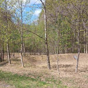 Photo #31 of ROCKFISH HEIGHTS LN, NELLYSFORD, VA 4.7 acres