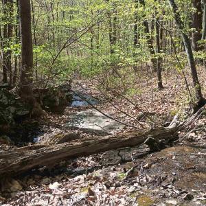 Photo #20 of ROCKFISH HEIGHTS LN, NELLYSFORD, VA 4.7 acres