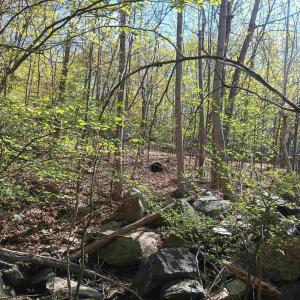 Photo #27 of ROCKFISH HEIGHTS LN, NELLYSFORD, VA 4.7 acres