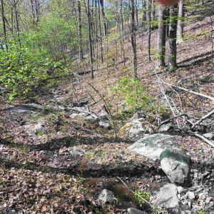 Photo #23 of ROCKFISH HEIGHTS LN, NELLYSFORD, VA 4.7 acres