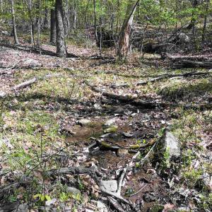 Photo #19 of ROCKFISH HEIGHTS LN, NELLYSFORD, VA 4.7 acres