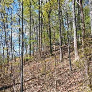Photo #25 of ROCKFISH HEIGHTS LN, NELLYSFORD, VA 4.7 acres
