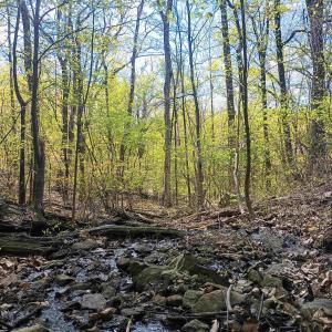 Photo #18 of ROCKFISH HEIGHTS LN, NELLYSFORD, VA 4.7 acres