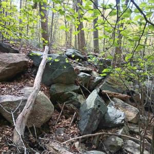 Photo #29 of ROCKFISH HEIGHTS LN, NELLYSFORD, VA 4.7 acres