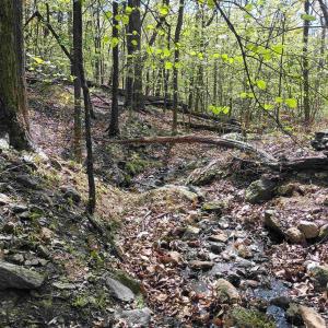 Photo #16 of ROCKFISH HEIGHTS LN, NELLYSFORD, VA 4.7 acres