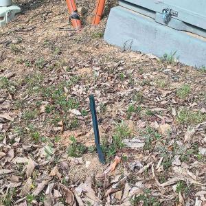 Photo #33 of ROCKFISH HEIGHTS LN, NELLYSFORD, VA 4.7 acres