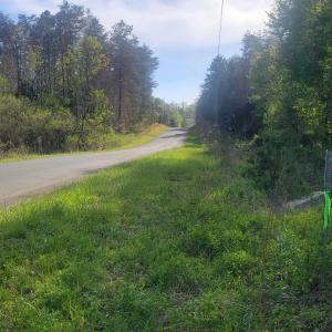Photo #4 of 13.3 AC GLADE RD, SCHUYLER, VA 13.3 acres