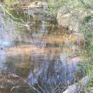 Photo #1 of 13.3 AC GLADE RD, SCHUYLER, VA 13.3 acres