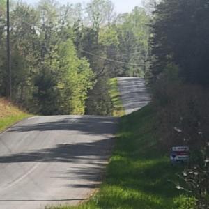 Photo #7 of 13.3 AC GLADE RD, SCHUYLER, VA 13.3 acres