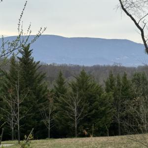 Photo #10 of 6133 PLANK RD, AFTON, VA 3.0 acres