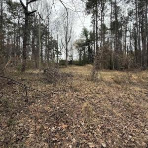 Photo #9 of 6133 PLANK RD, AFTON, VA 3.0 acres