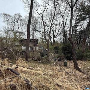 Photo #4 of 6133 PLANK RD, AFTON, VA 3.0 acres