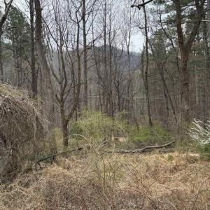 Photo #8 of 6133 PLANK RD, AFTON, VA 3.0 acres