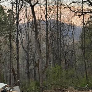 Photo #6 of 6133 PLANK RD, AFTON, VA 3.0 acres