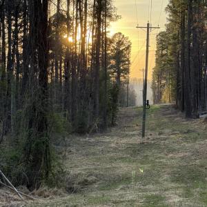 Photo #7 of 6133 PLANK RD, AFTON, VA 3.0 acres
