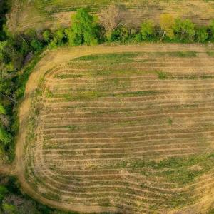 Photo #12 of 15799 STROOPTOWN RD, TIMBERVILLE, VA 8.2 acres