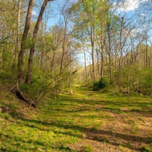 Photo #24 of 15799 STROOPTOWN RD, TIMBERVILLE, VA 8.2 acres