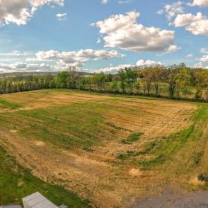 Photo #4 of 15799 STROOPTOWN RD, TIMBERVILLE, VA 8.2 acres