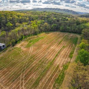 Photo #13 of 15799 STROOPTOWN RD, TIMBERVILLE, VA 8.2 acres