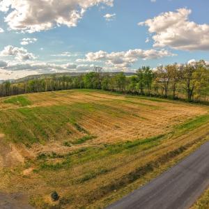 Photo #5 of 15799 STROOPTOWN RD, TIMBERVILLE, VA 8.2 acres