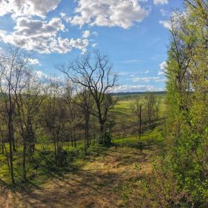 Photo #20 of 15799 STROOPTOWN RD, TIMBERVILLE, VA 8.2 acres