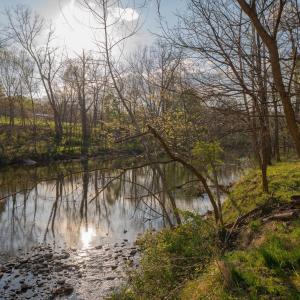 Photo #29 of 15799 STROOPTOWN RD, TIMBERVILLE, VA 8.2 acres