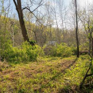 Photo #33 of 15799 STROOPTOWN RD, TIMBERVILLE, VA 8.2 acres