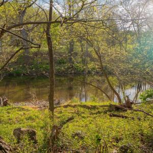 Photo #28 of 15799 STROOPTOWN RD, TIMBERVILLE, VA 8.2 acres