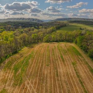 Photo #7 of 15799 STROOPTOWN RD, TIMBERVILLE, VA 8.2 acres