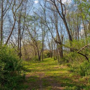 Photo #34 of 15799 STROOPTOWN RD, TIMBERVILLE, VA 8.2 acres