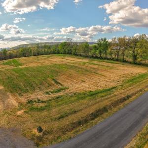 Photo #6 of 15799 STROOPTOWN RD, TIMBERVILLE, VA 8.2 acres