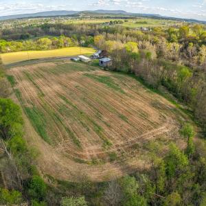 Photo #3 of 15799 STROOPTOWN RD, TIMBERVILLE, VA 8.2 acres