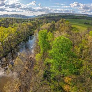 Photo #15 of 15799 STROOPTOWN RD, TIMBERVILLE, VA 8.2 acres