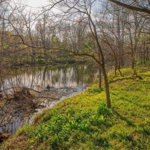 Photo #30 of 15799 STROOPTOWN RD, TIMBERVILLE, VA 8.2 acres